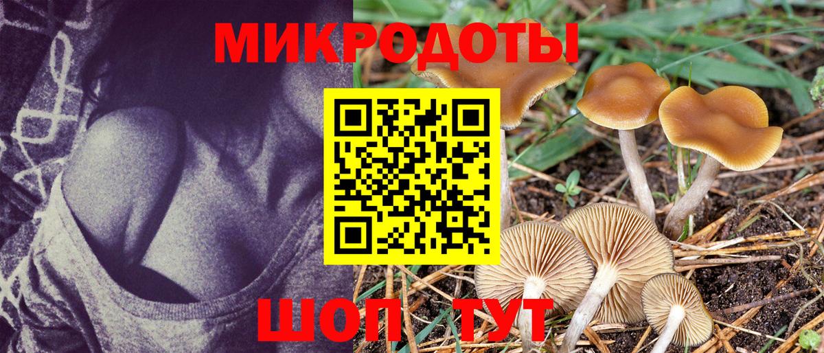 Галлюциногенные грибы мухоморы Чебаркуль